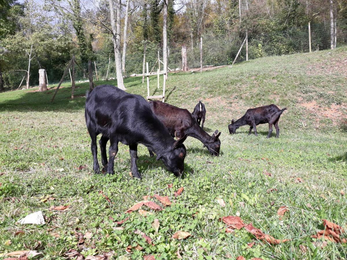 Rural La Soleia D'oix Landhuis *
